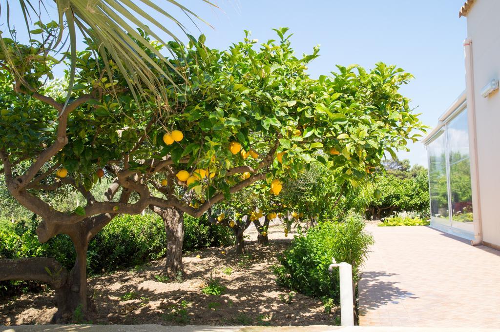 Casolare Nelle Saline Bed & Breakfast Torre Nubia ภายนอก รูปภาพ